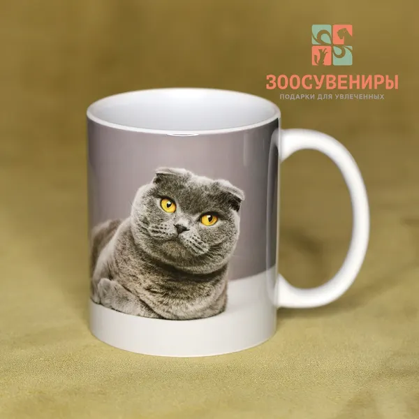 Кружка "Шотландский вислоухий кот"