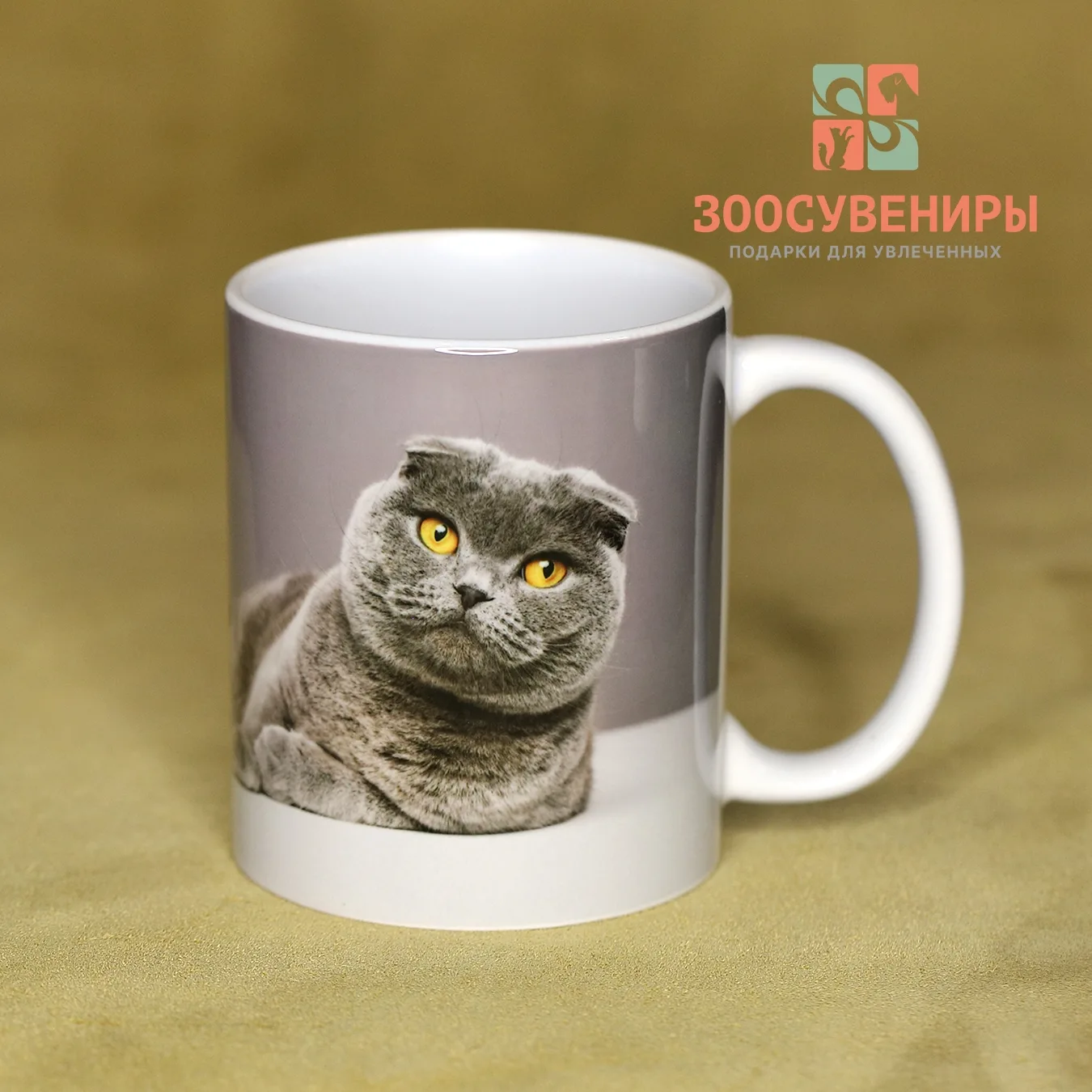 Кружка "Шотландский вислоухий кот"